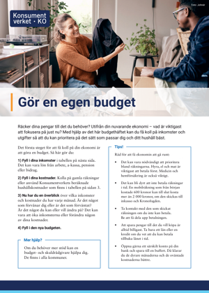 Gör en egen budget - Budgethäfte